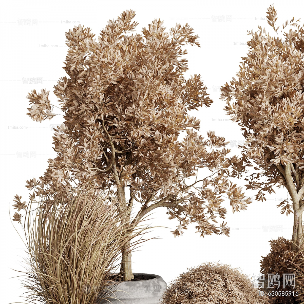 Modern Ground Green Plant Potted Plants