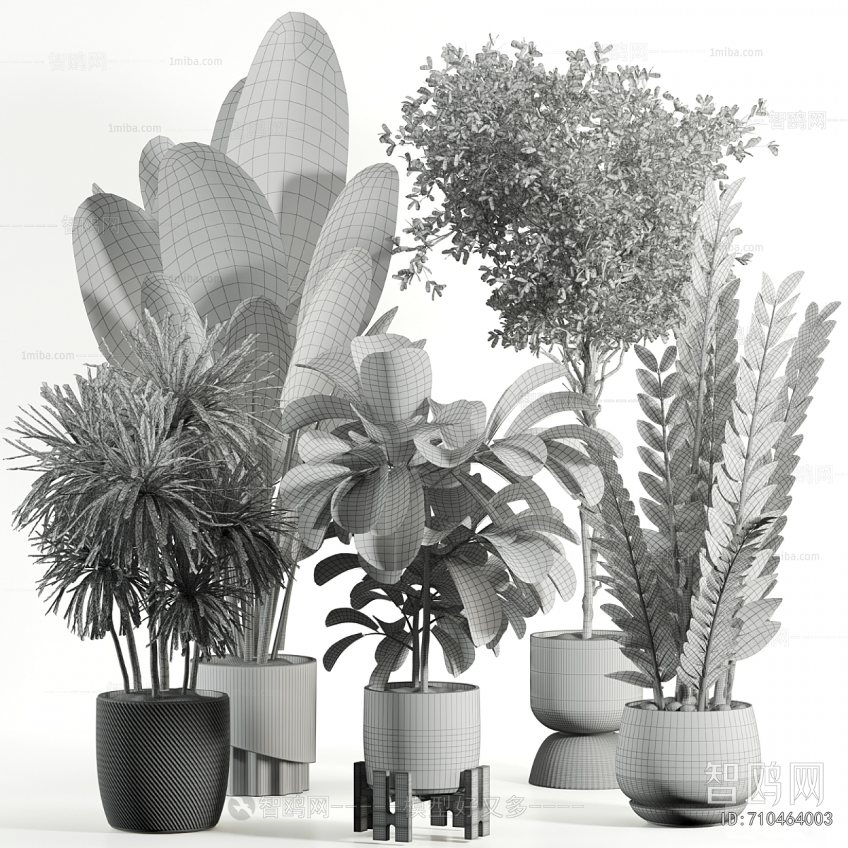 Modern Ground Green Plant Potted Plants