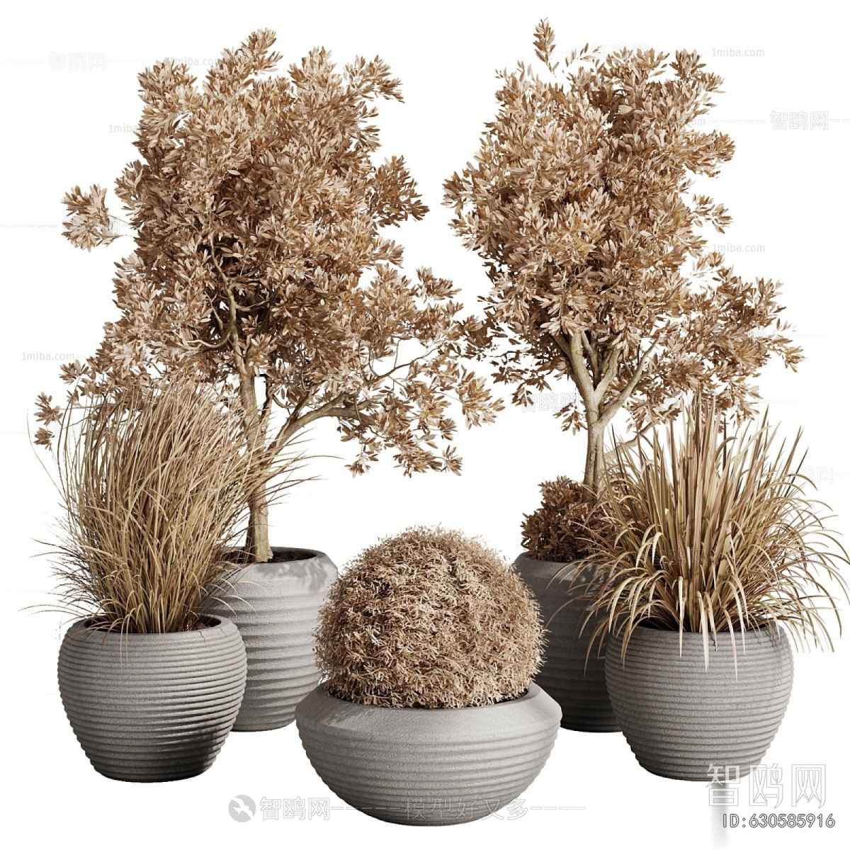 Modern Ground Green Plant Potted Plants