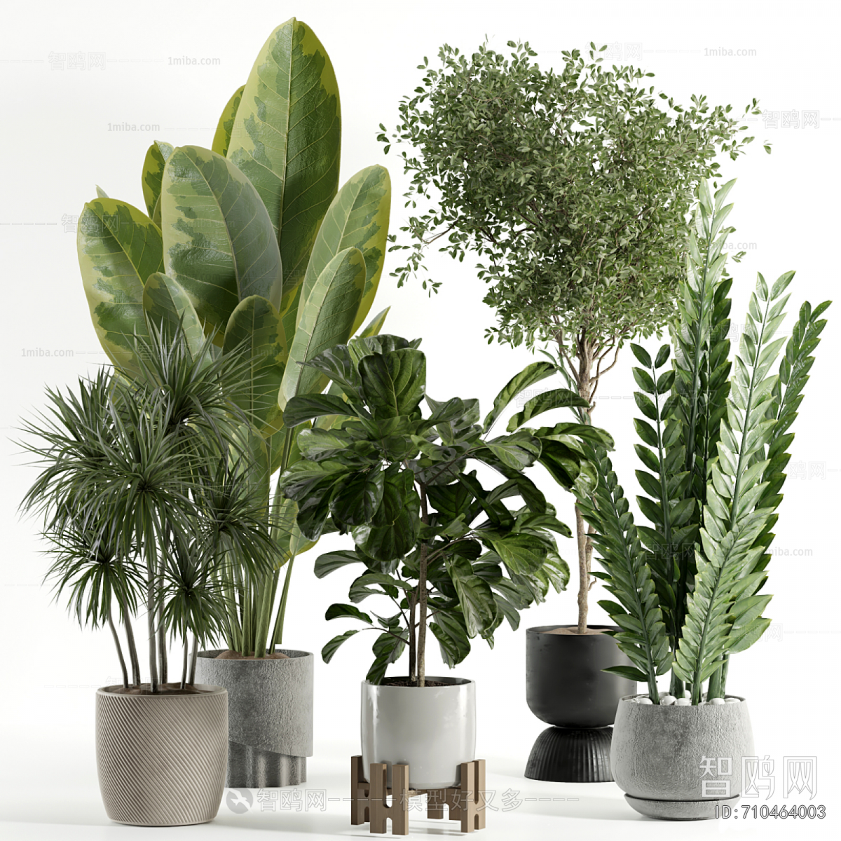 Modern Ground Green Plant Potted Plants