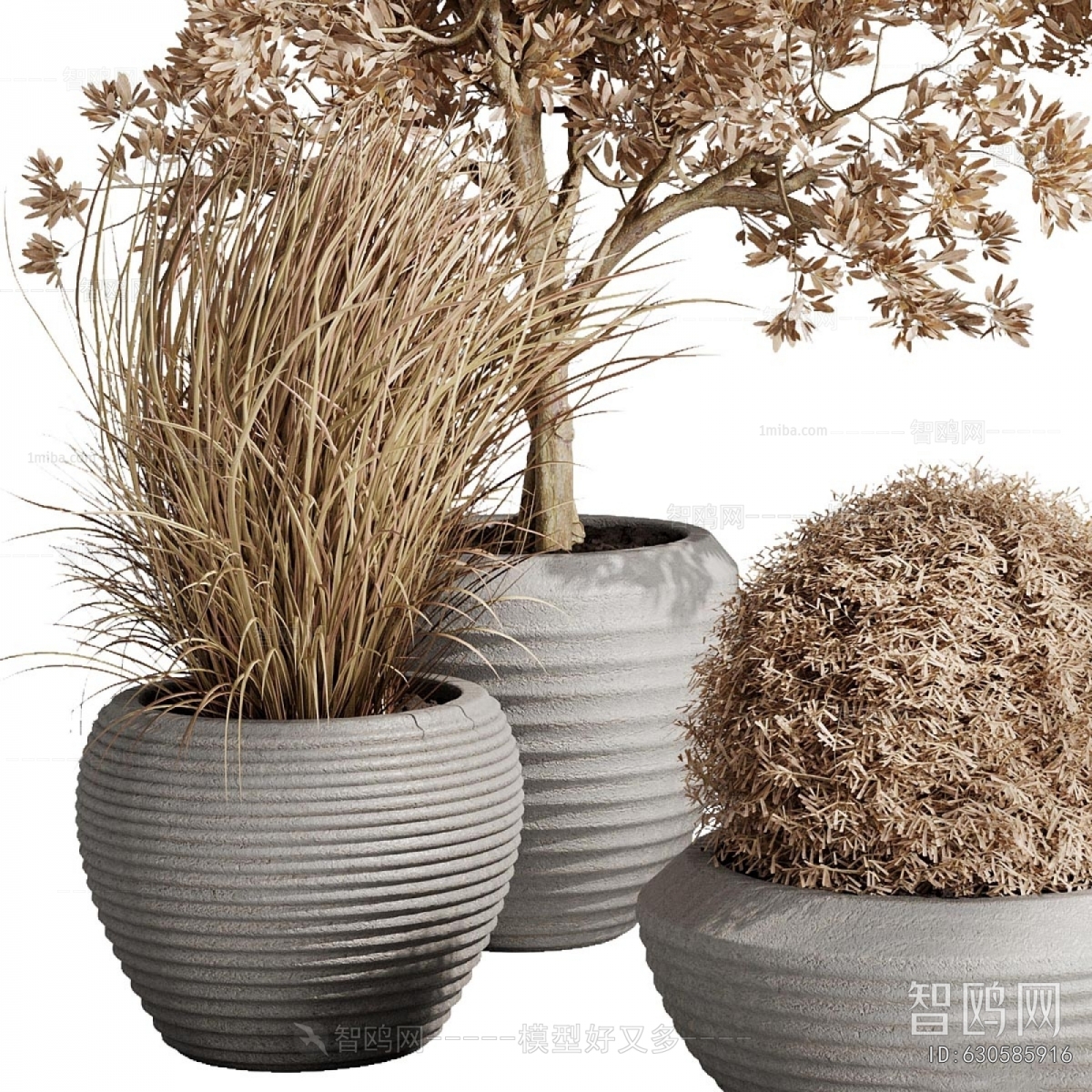 Modern Ground Green Plant Potted Plants