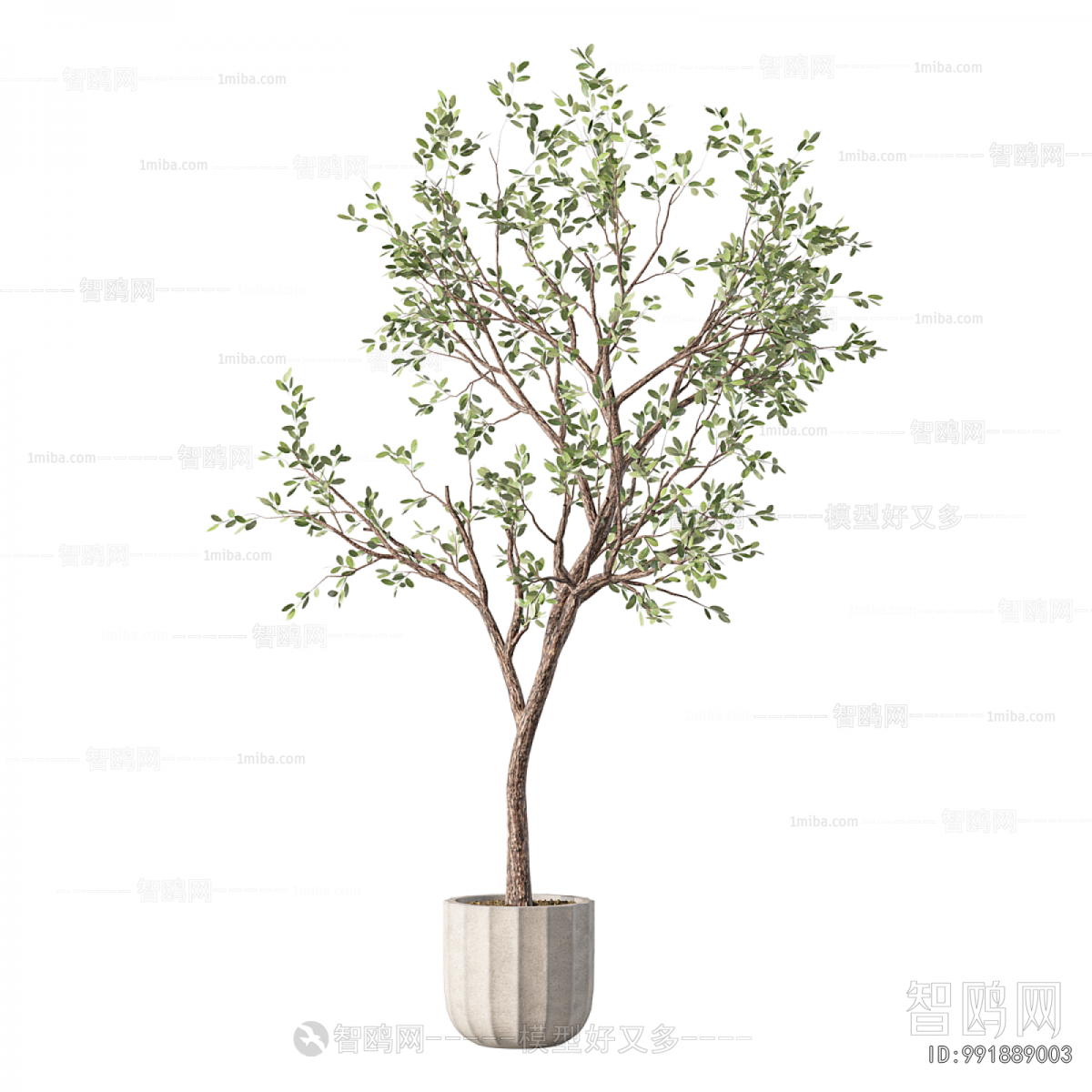 Modern Ground Green Plant Potted Plants