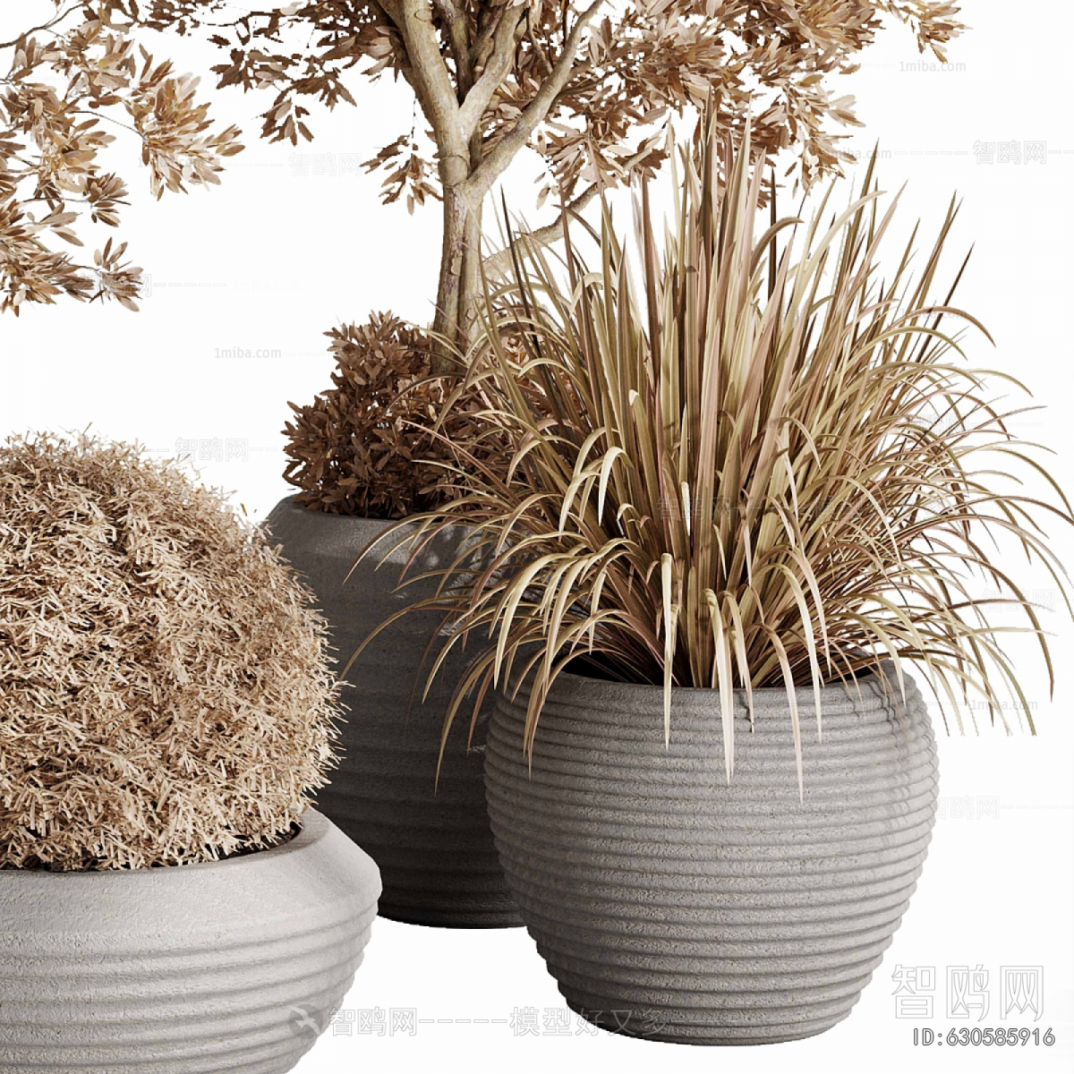Modern Ground Green Plant Potted Plants