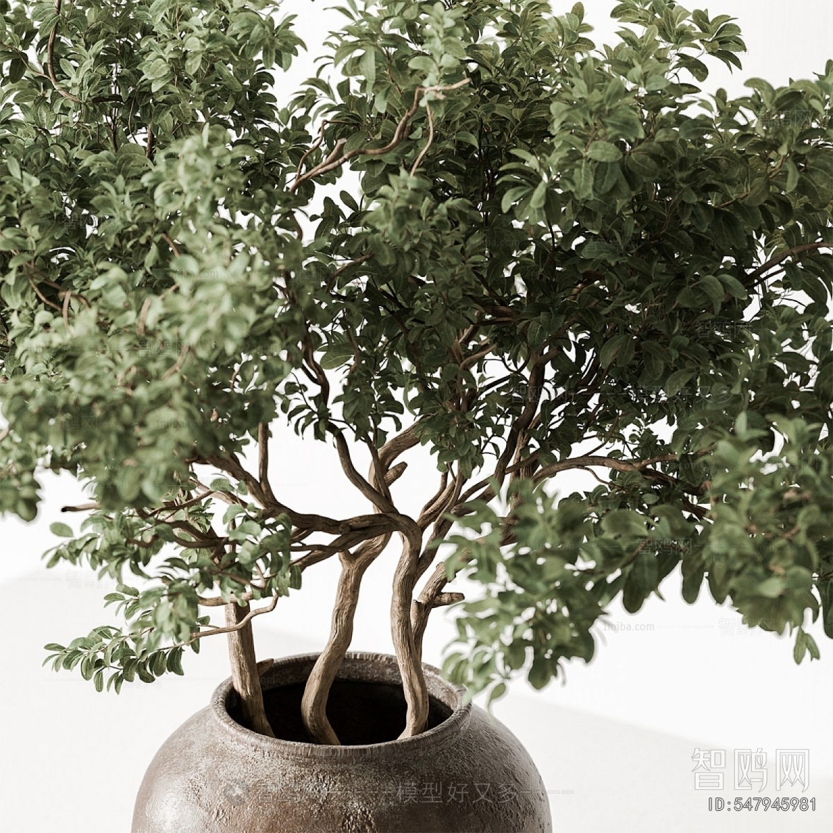 Modern Ground Green Plant Potted Plants