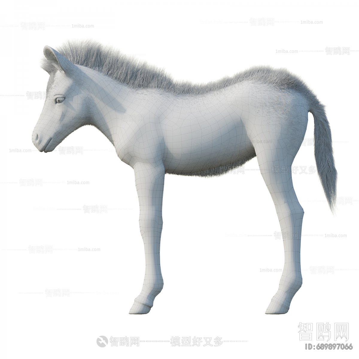 Modern Animal Horse