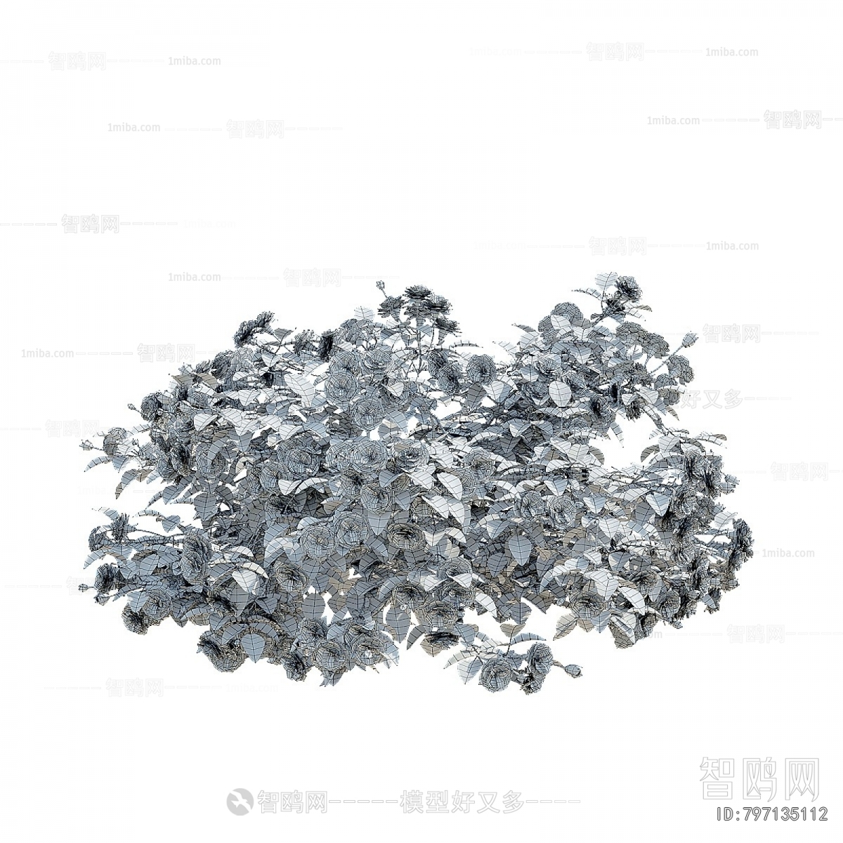 Modern Flowers And Grass