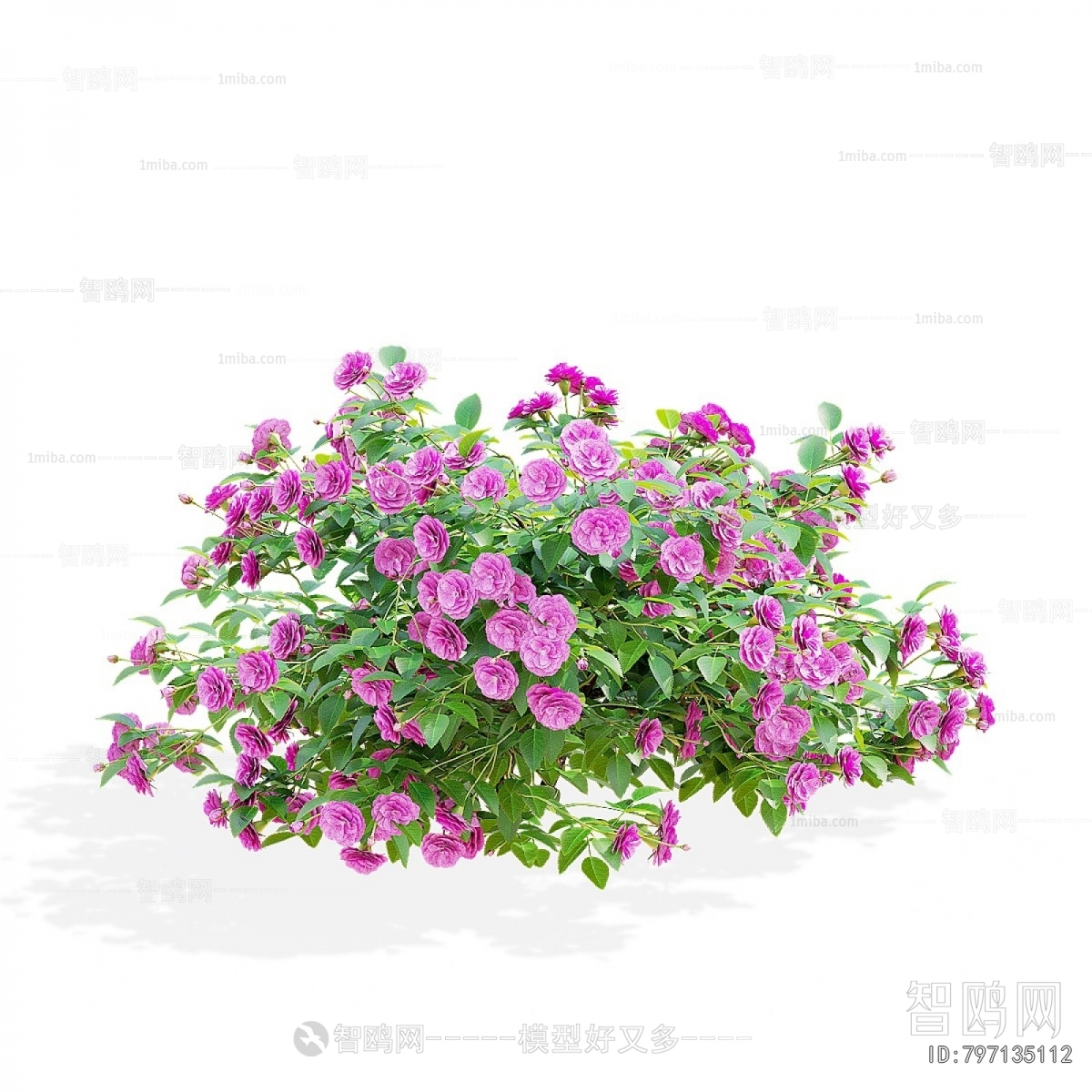 Modern Flowers And Grass