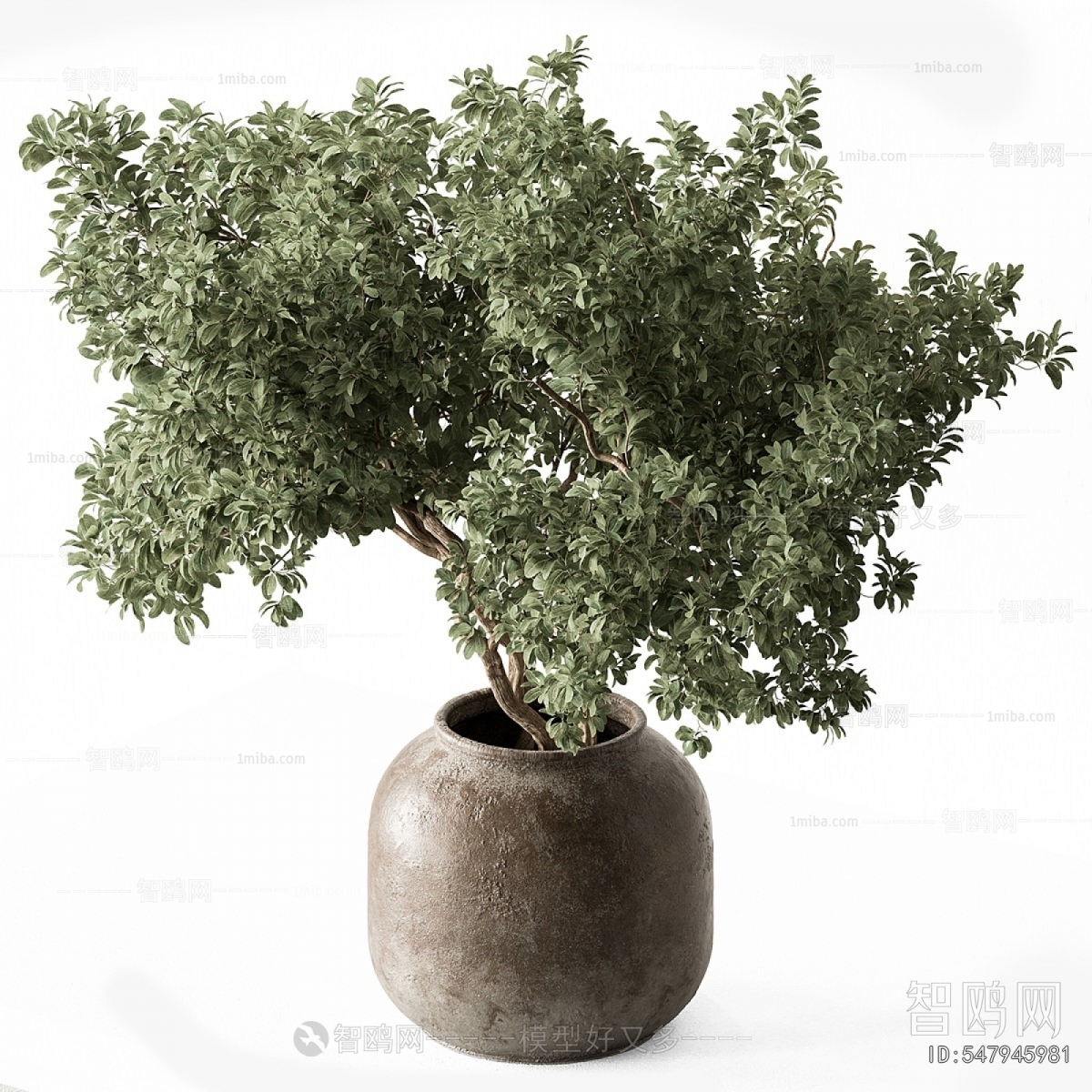 Modern Ground Green Plant Potted Plants