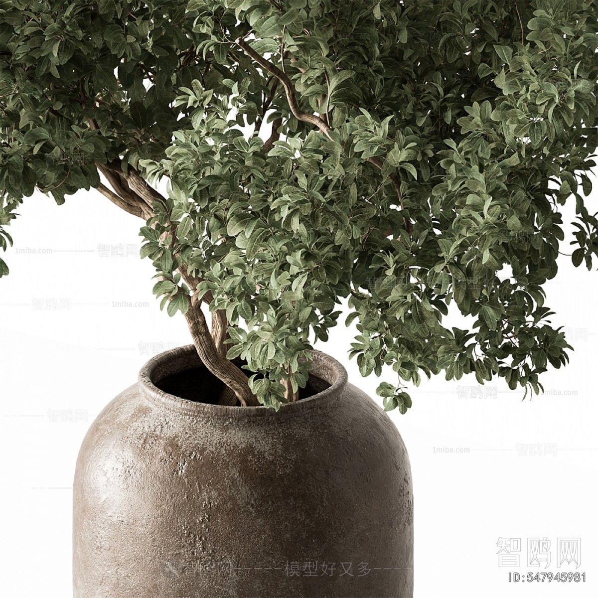 Modern Ground Green Plant Potted Plants