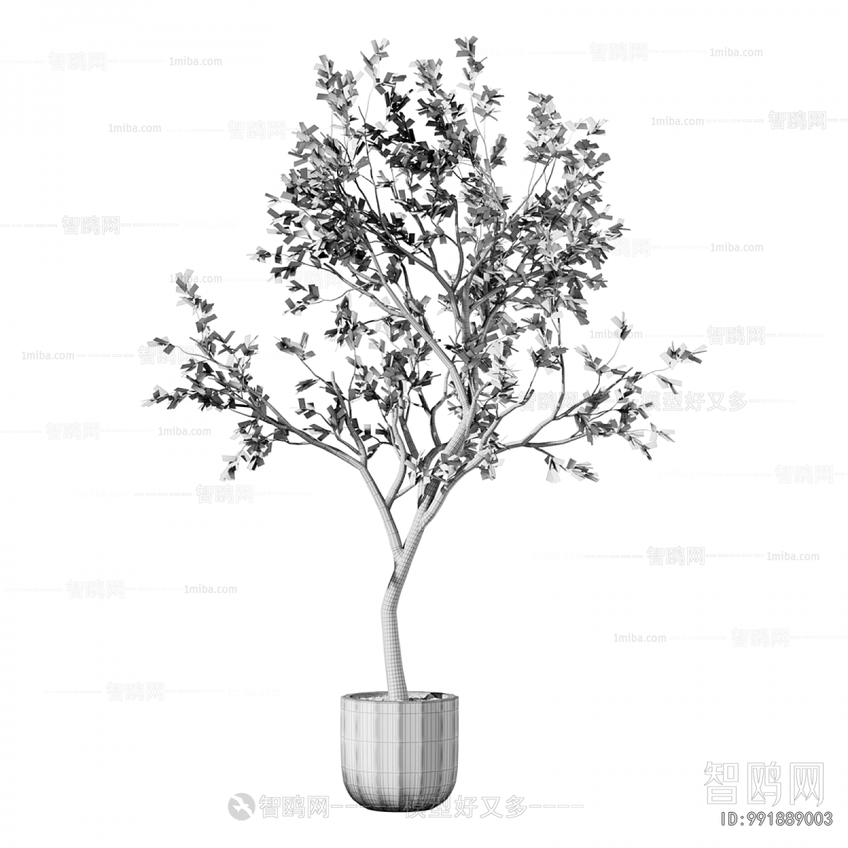 Modern Ground Green Plant Potted Plants