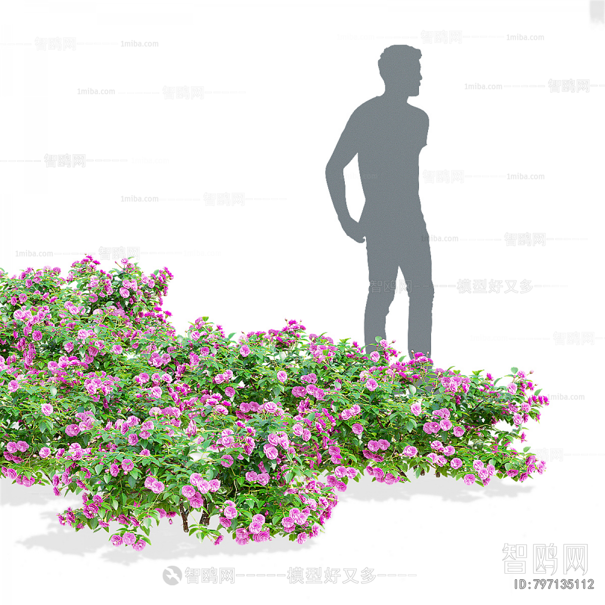 Modern Flowers And Grass