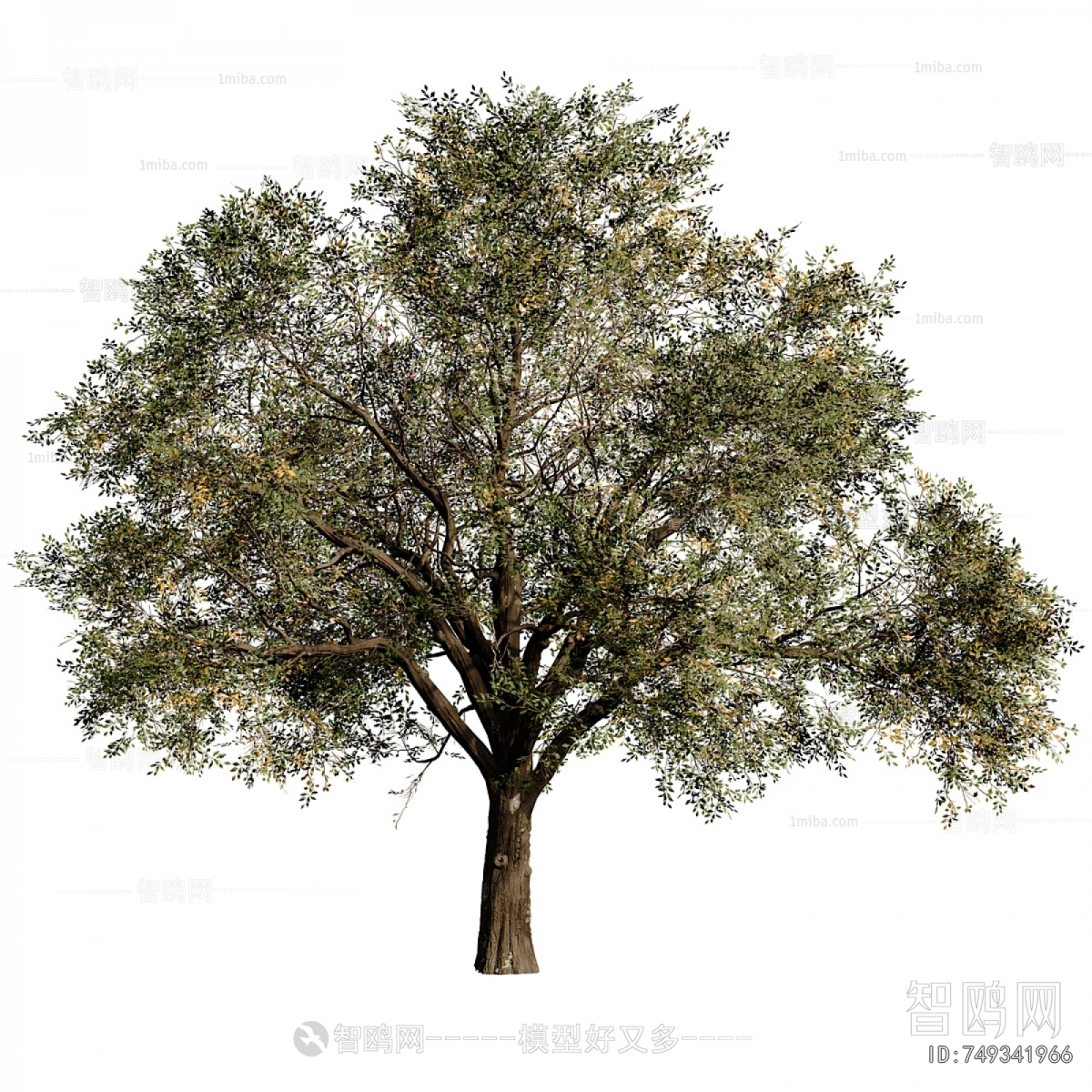 Modern Tree