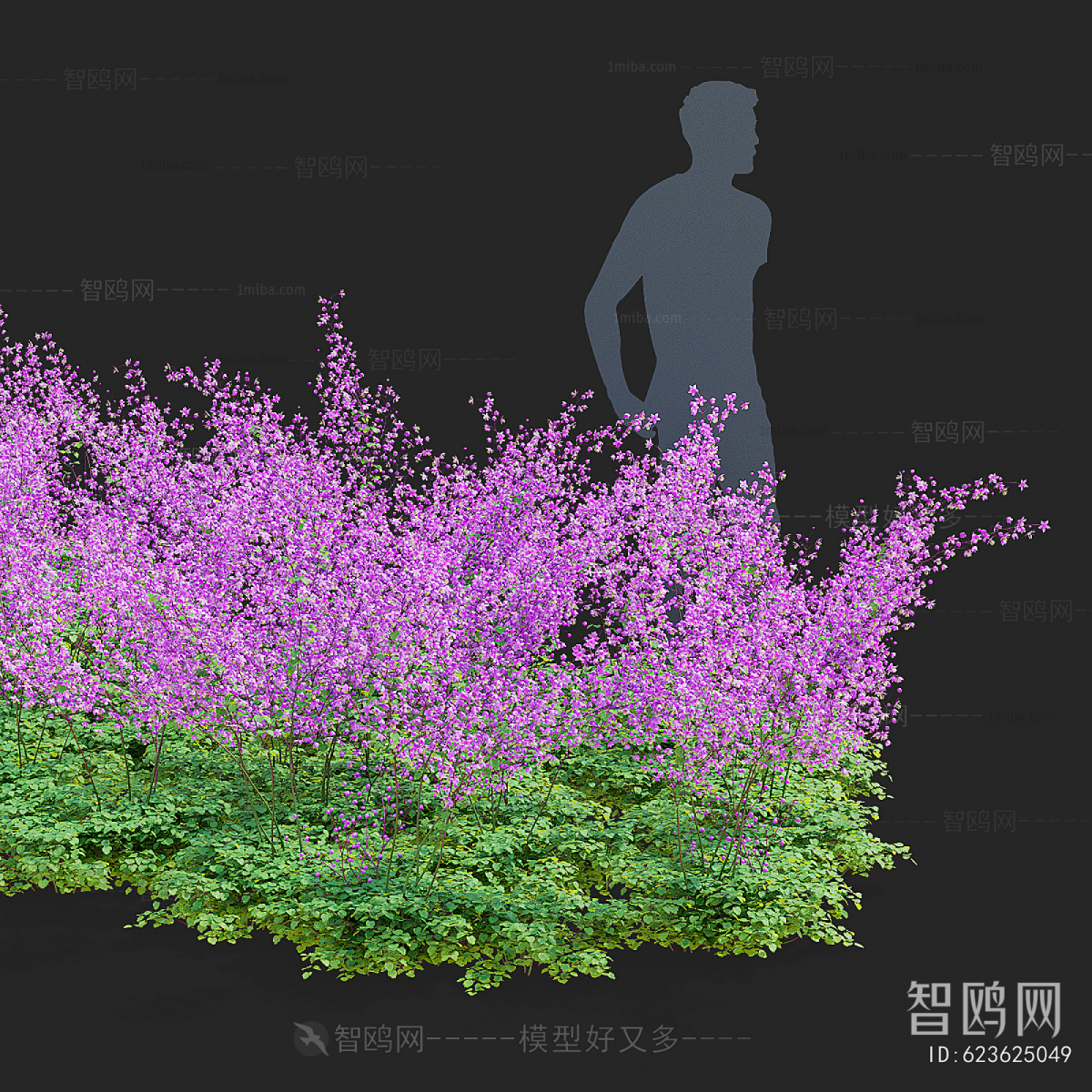 Modern Flowers And Grass