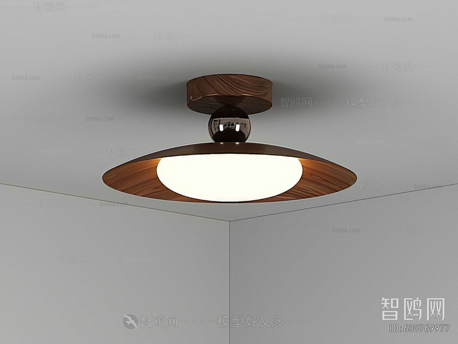 Modern Ceiling Ceiling Lamp