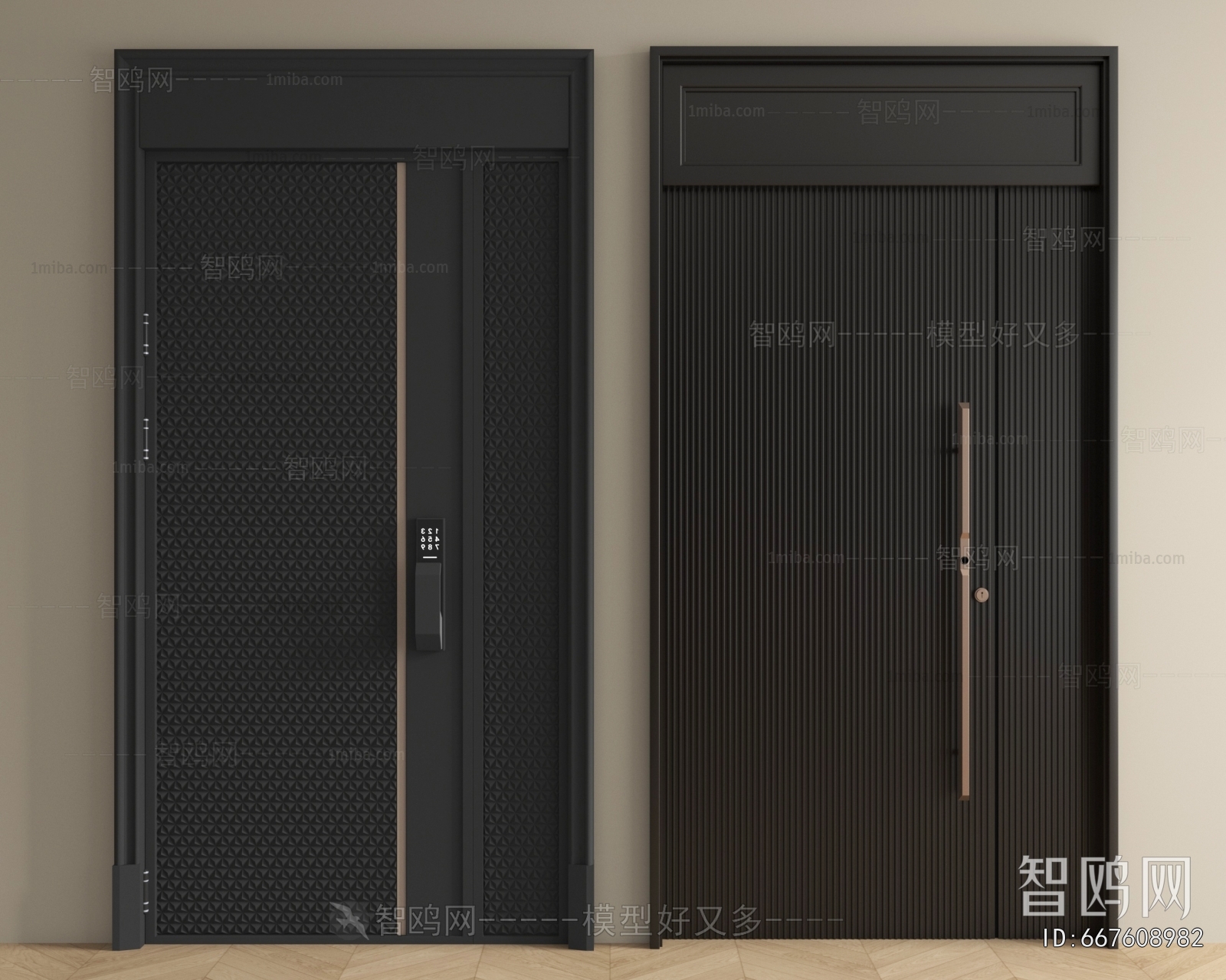 Modern Entrance Door