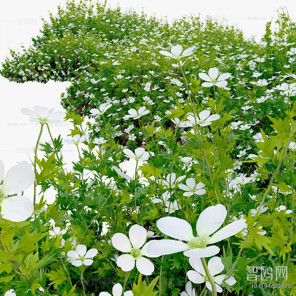 Modern Flowers And Grass