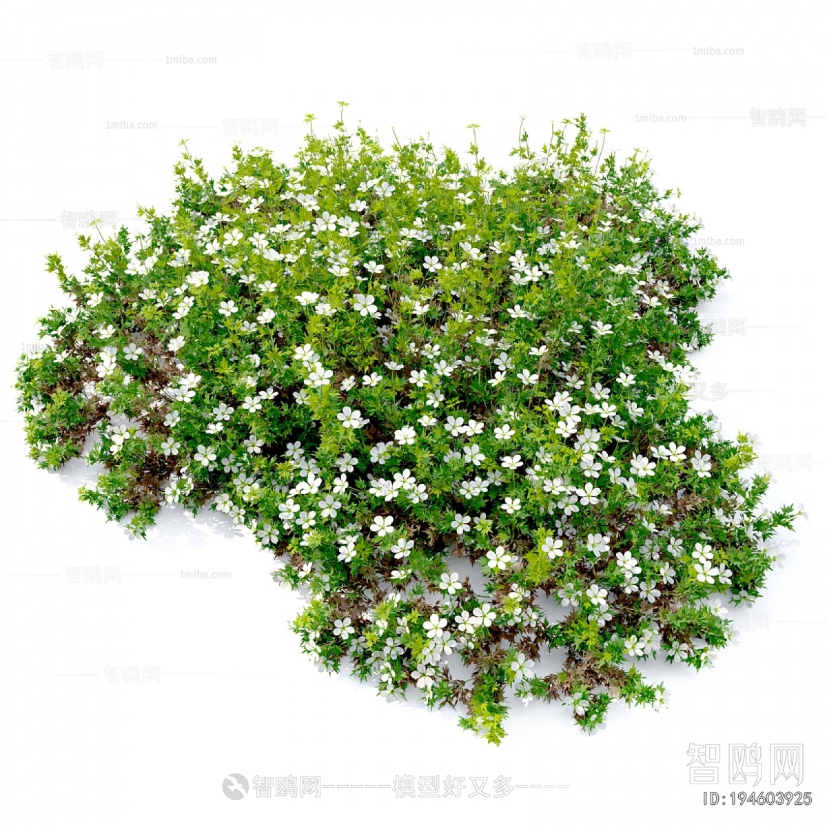 Modern Flowers And Grass