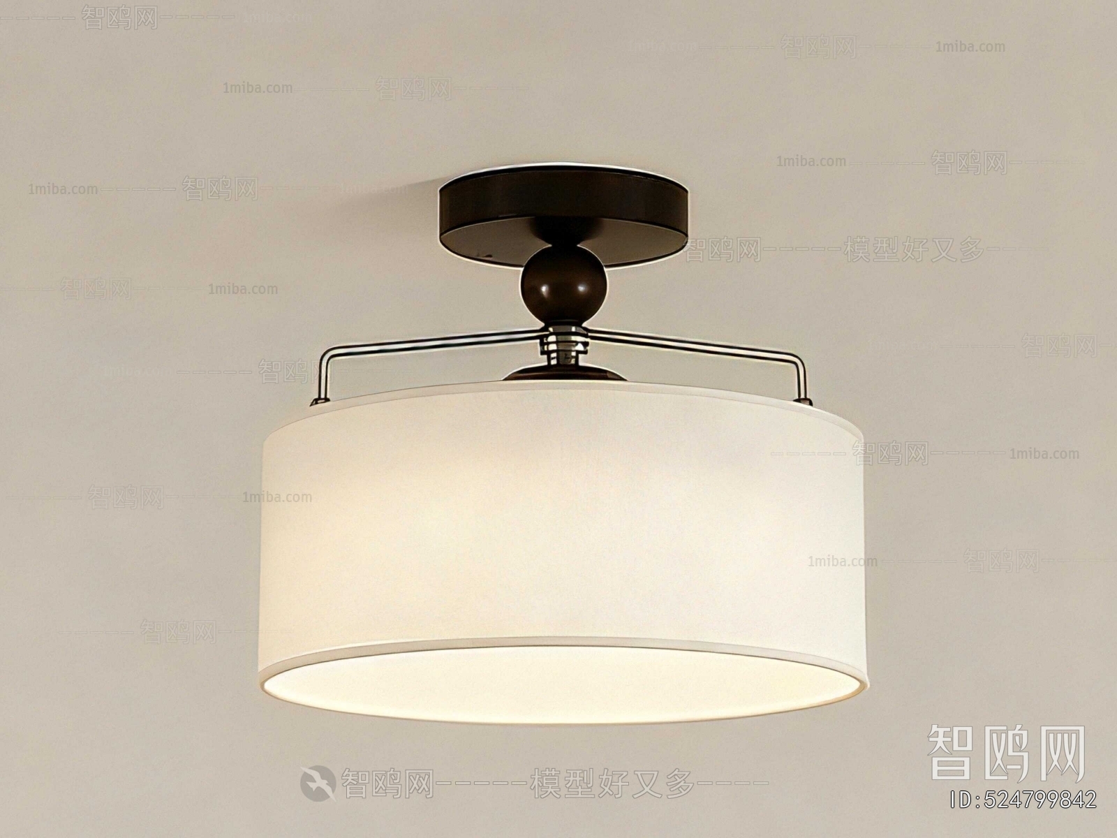 Modern Ceiling Ceiling Lamp
