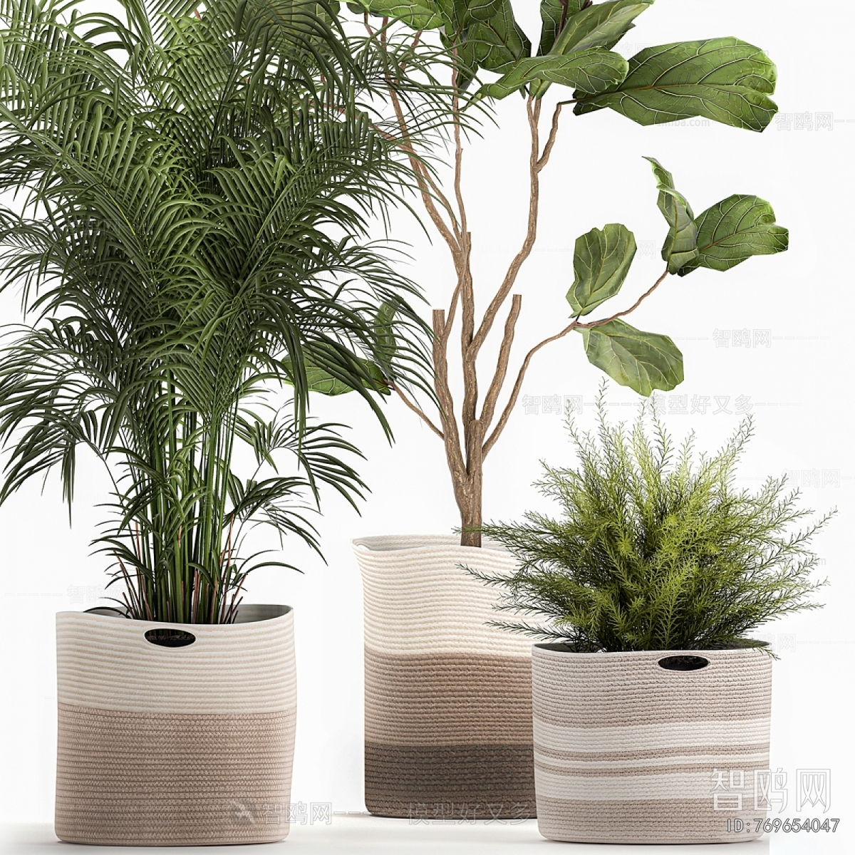 Modern Ground Green Plant Potted Plants