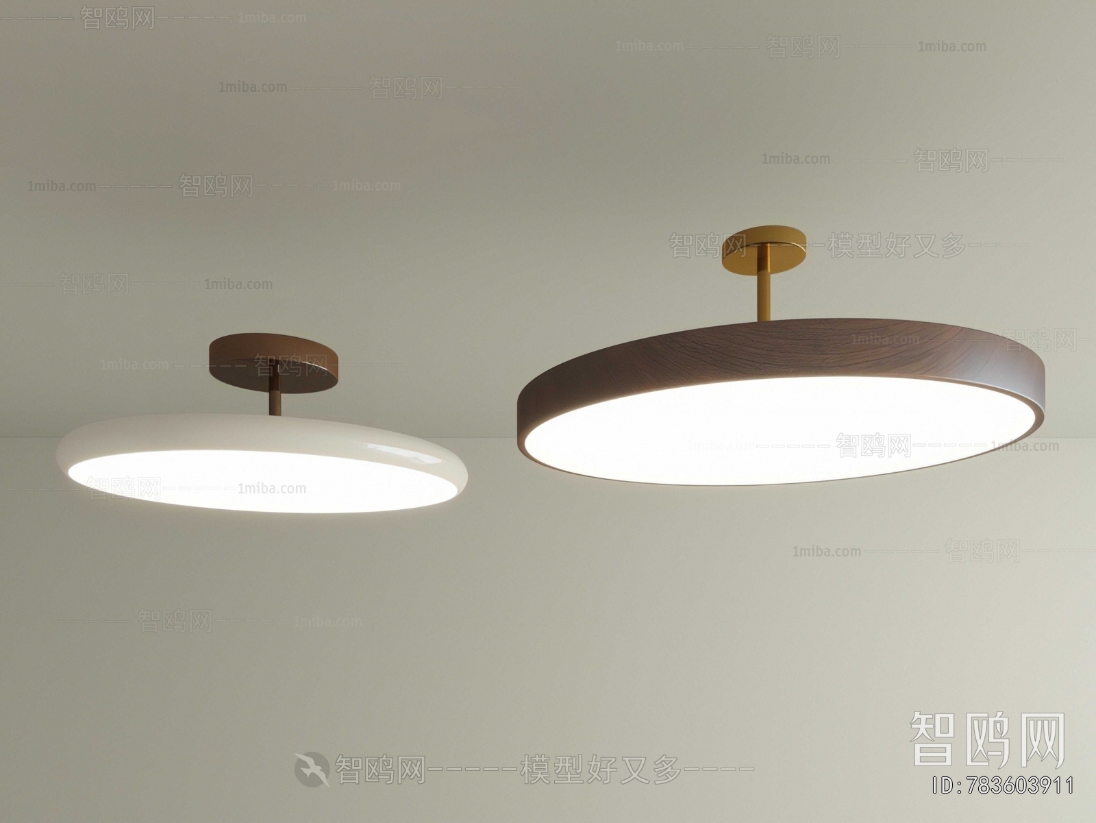 Modern Ceiling Ceiling Lamp