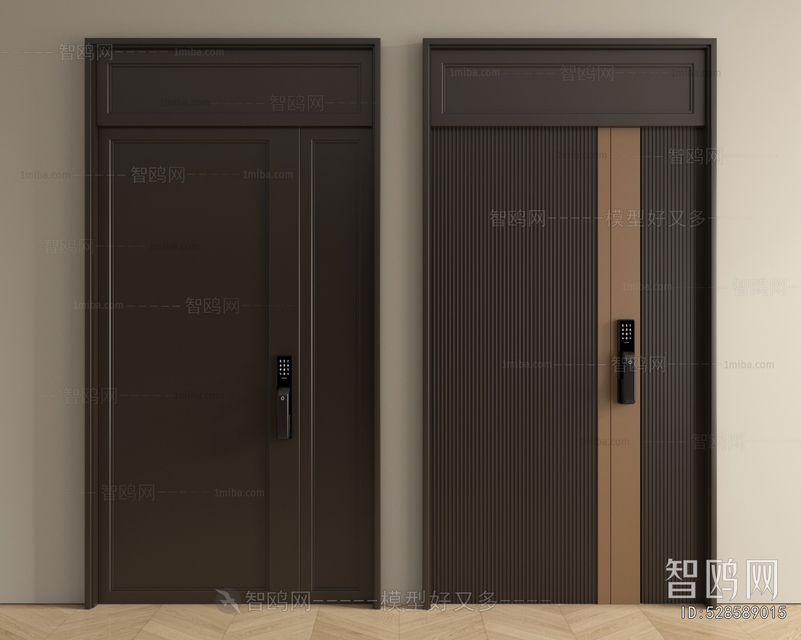 Modern Entrance Door