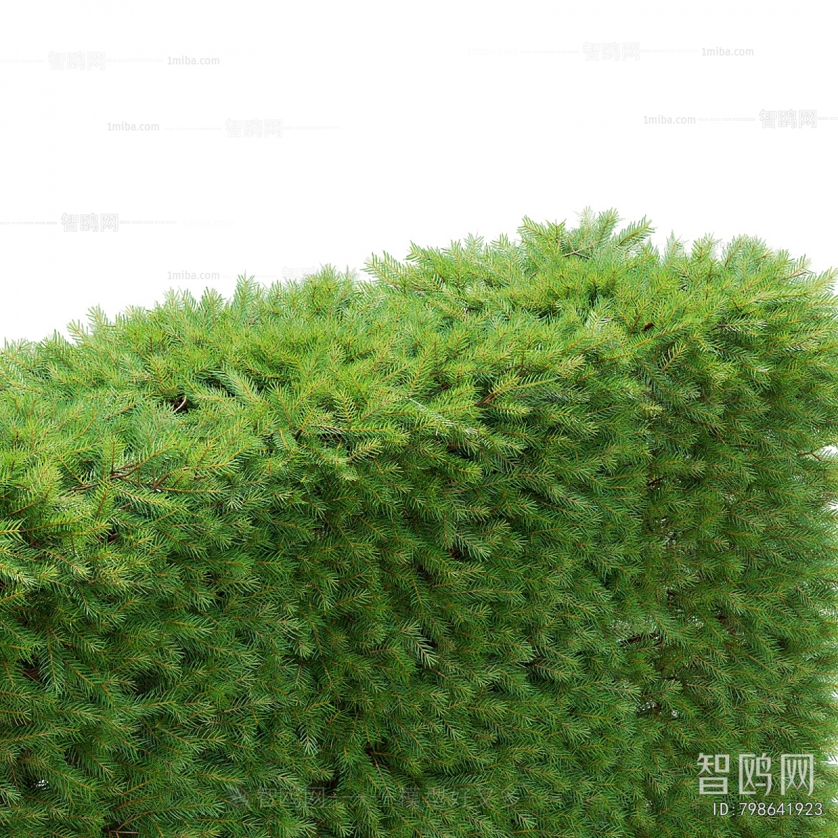Modern Shrubbery