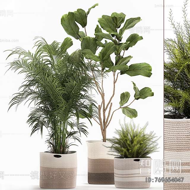 Modern Ground Green Plant Potted Plants