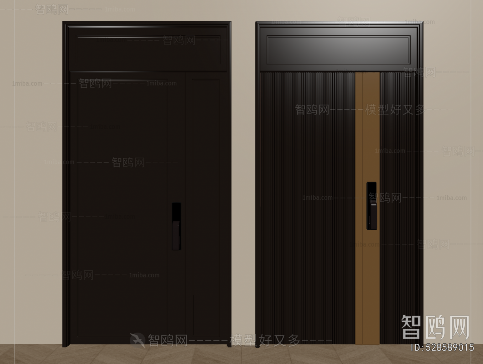 Modern Entrance Door