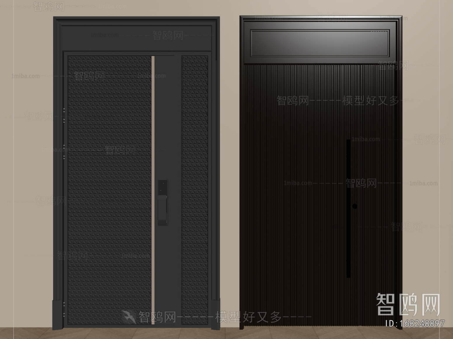 Modern Entrance Door