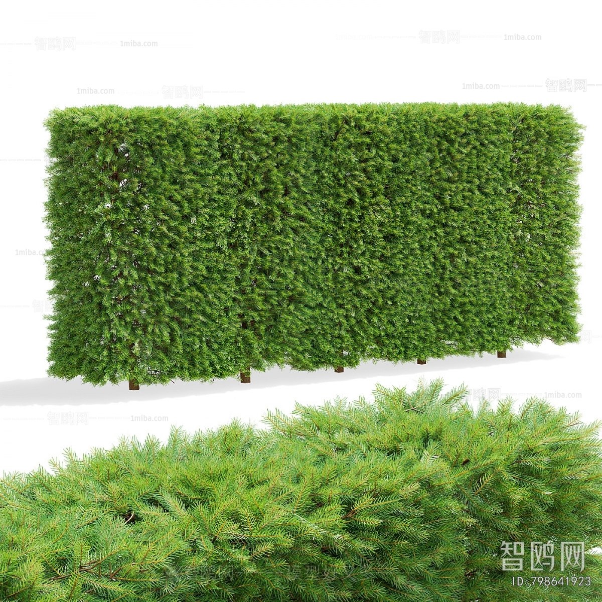 Modern Shrubbery