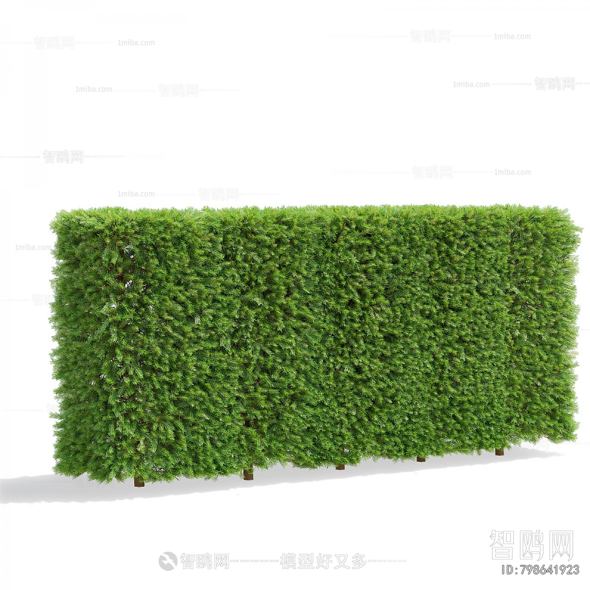 Modern Shrubbery