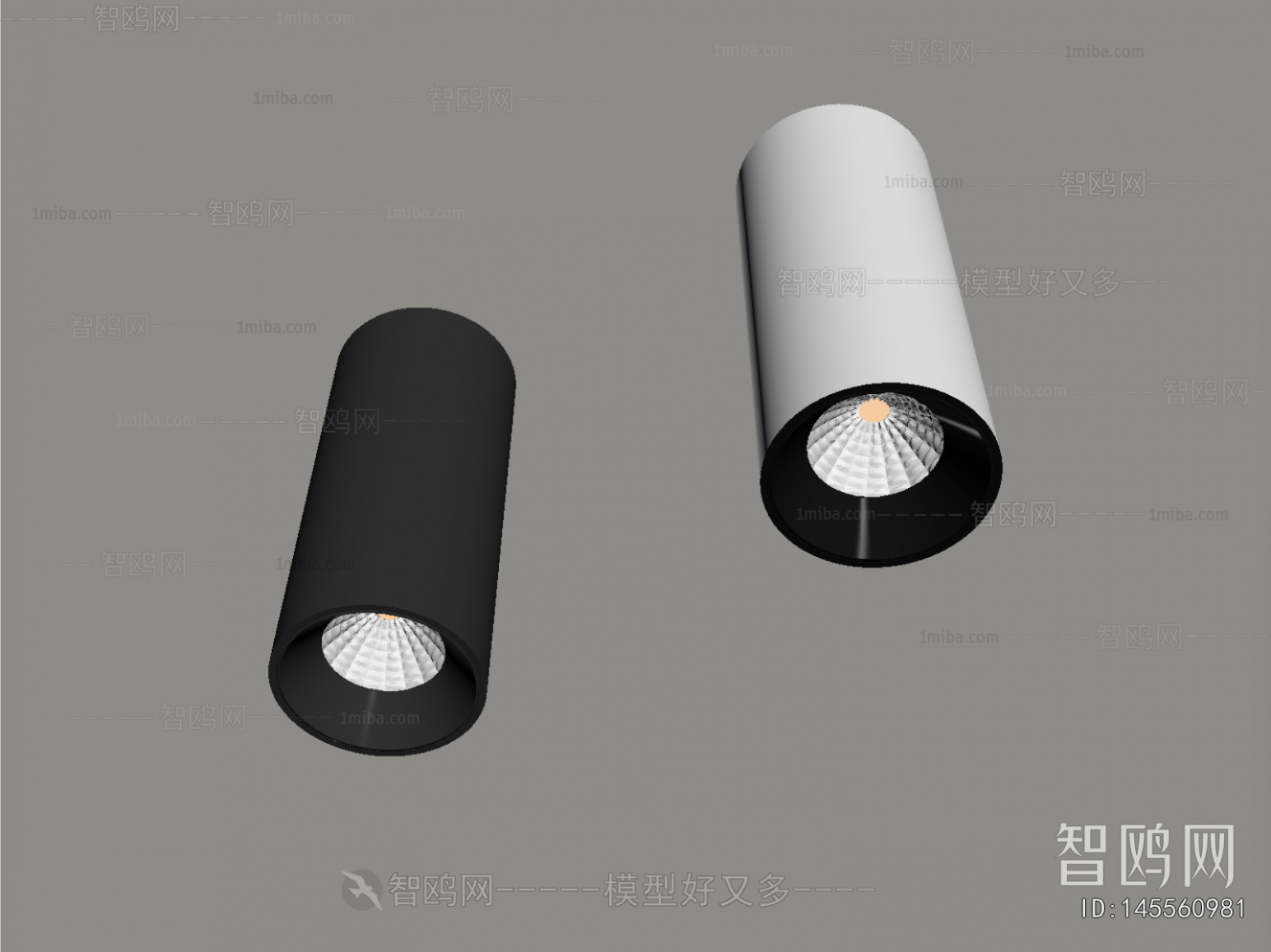Modern Downlight Spot Light
