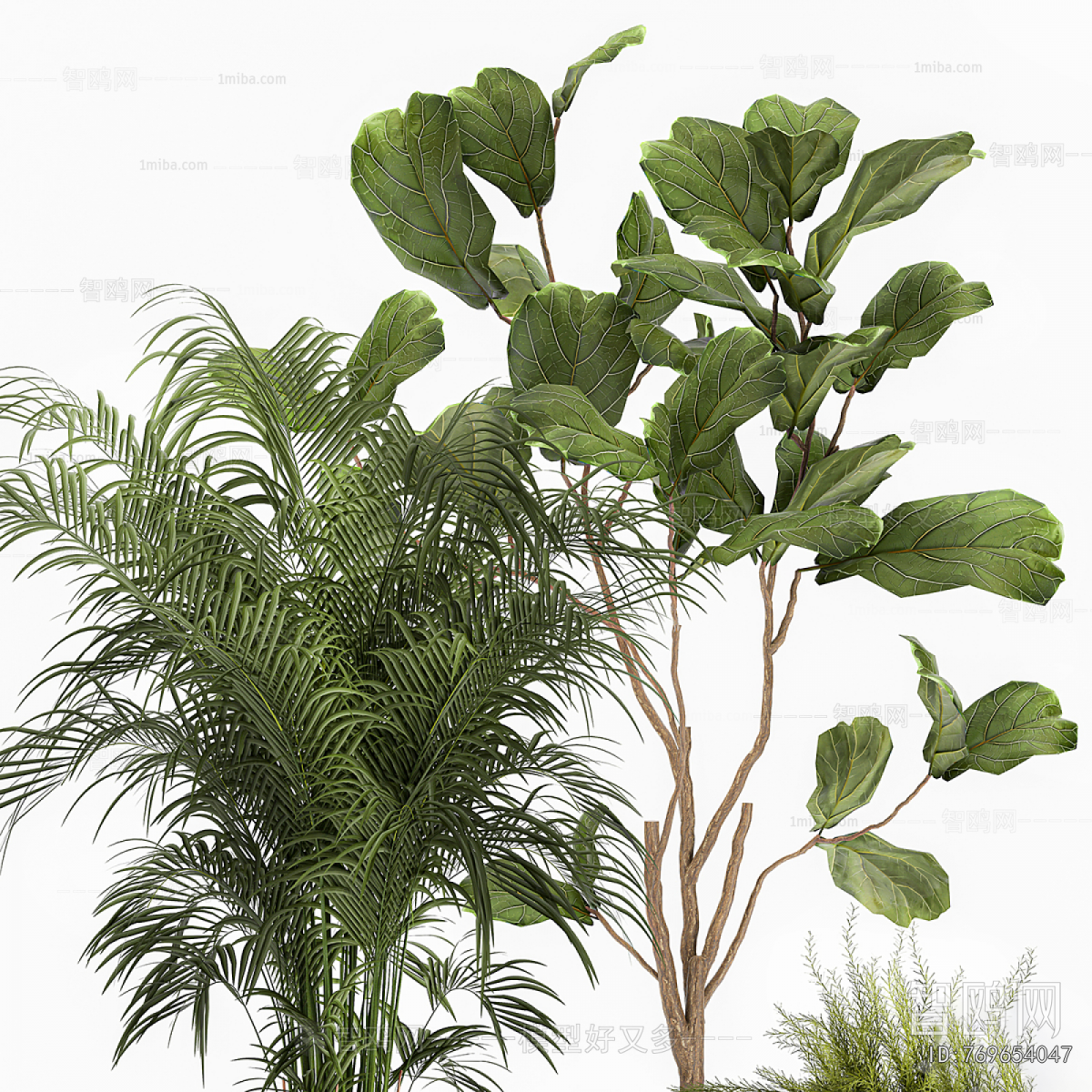 Modern Ground Green Plant Potted Plants