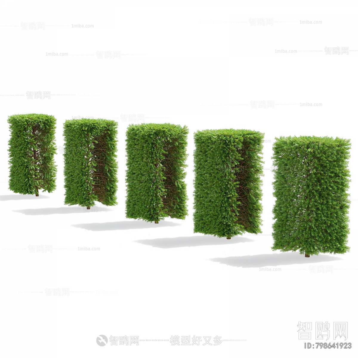 Modern Shrubbery
