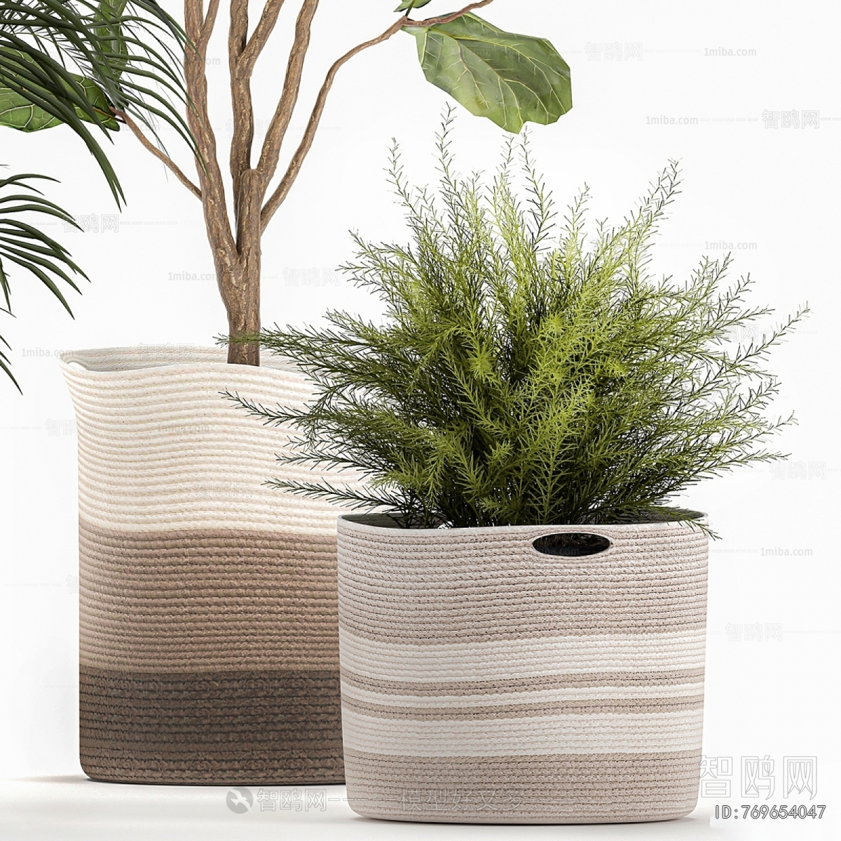 Modern Ground Green Plant Potted Plants