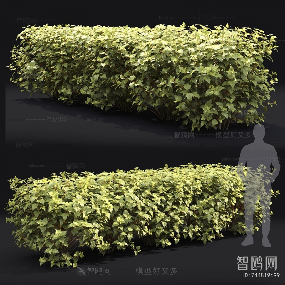 Modern Shrubbery