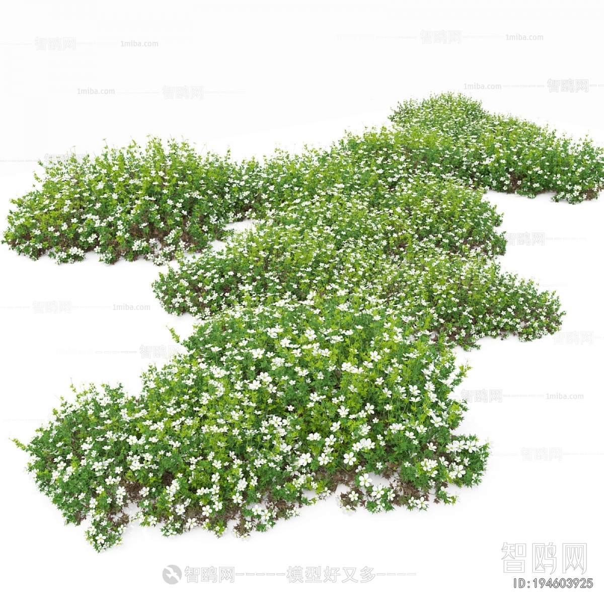 Modern Flowers And Grass