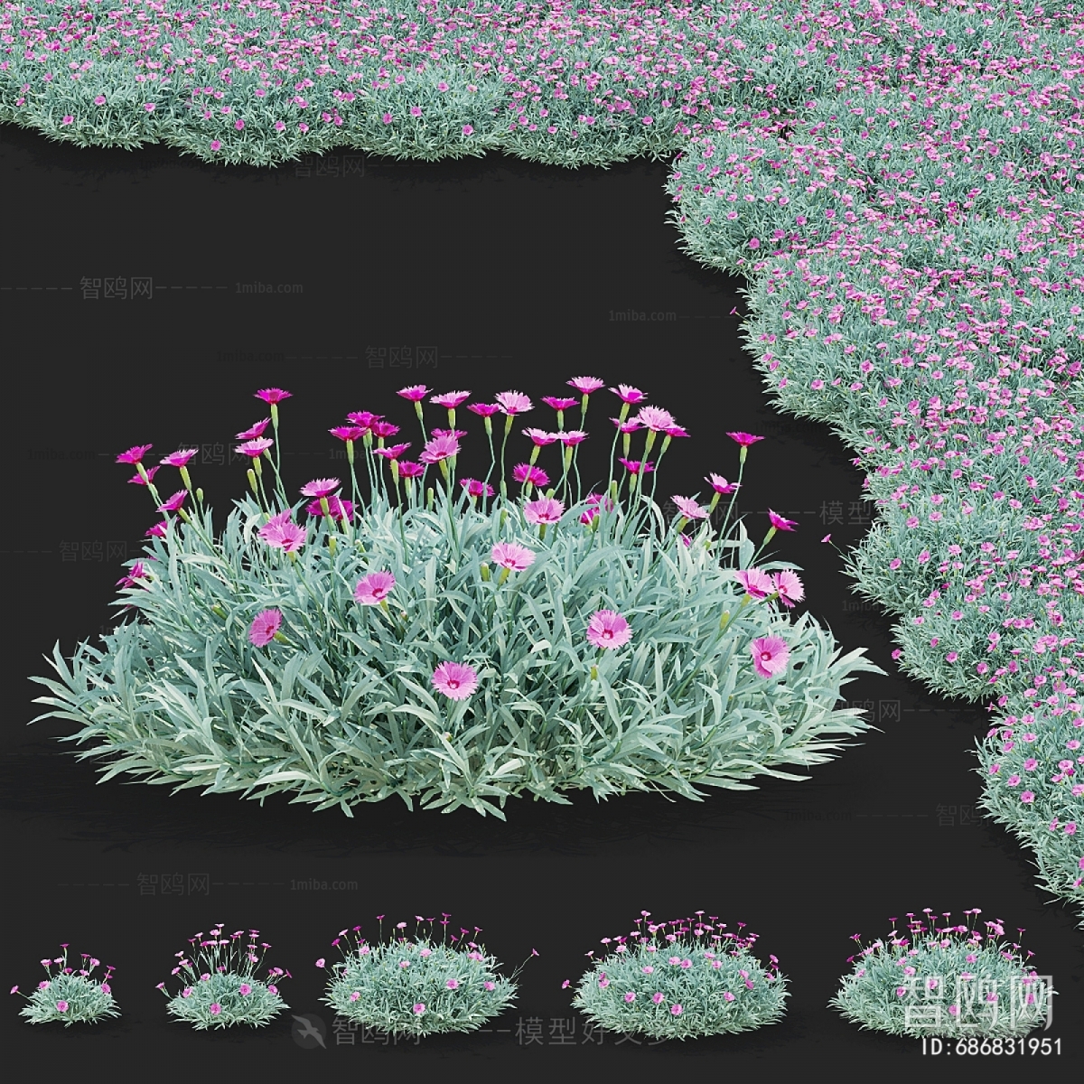 Modern Flowers And Grass