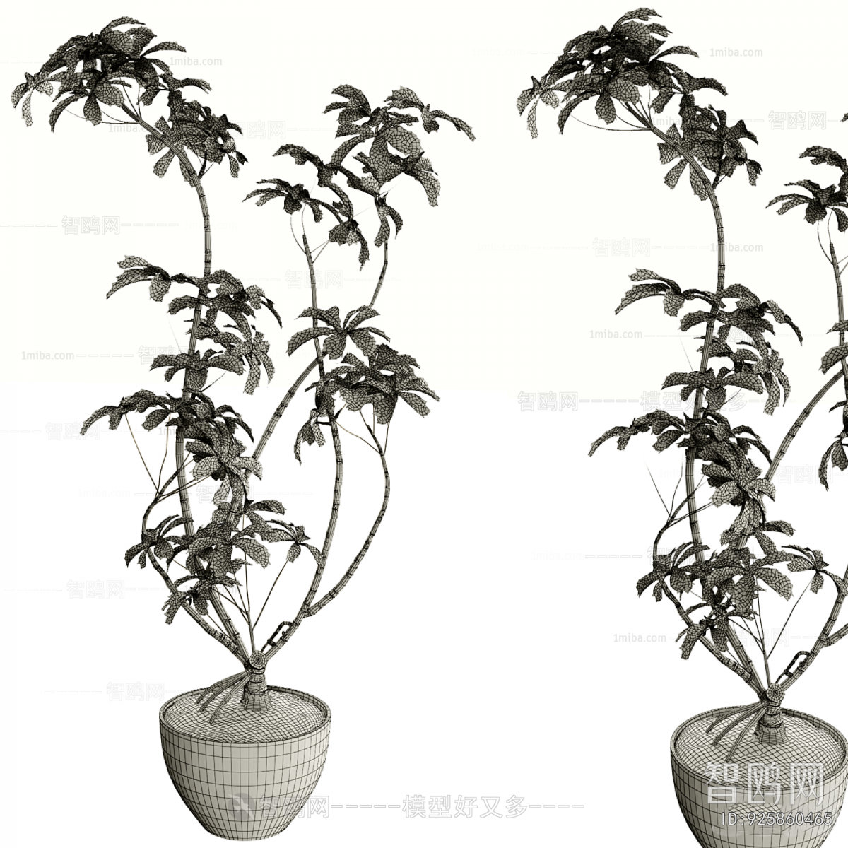 Modern Ground Green Plant Potted Plants