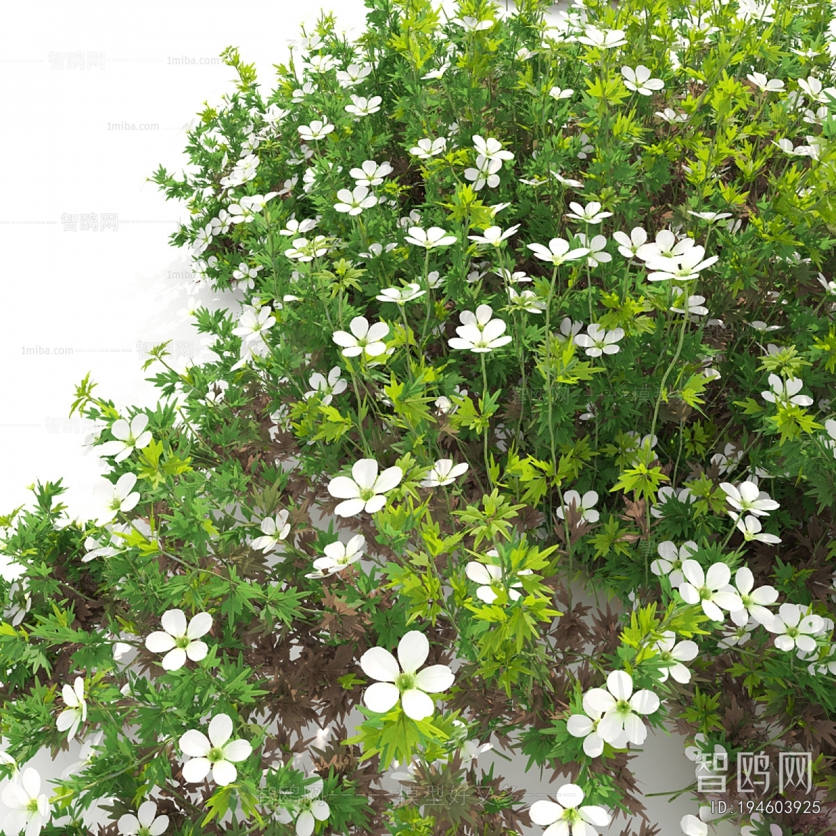 Modern Flowers And Grass