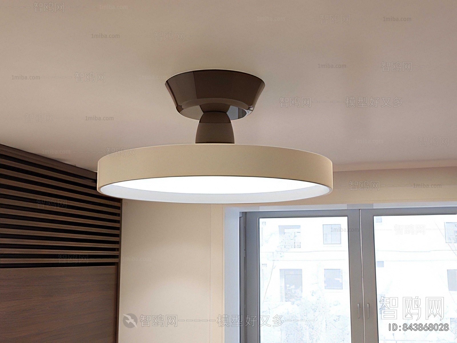 Modern Ceiling Ceiling Lamp