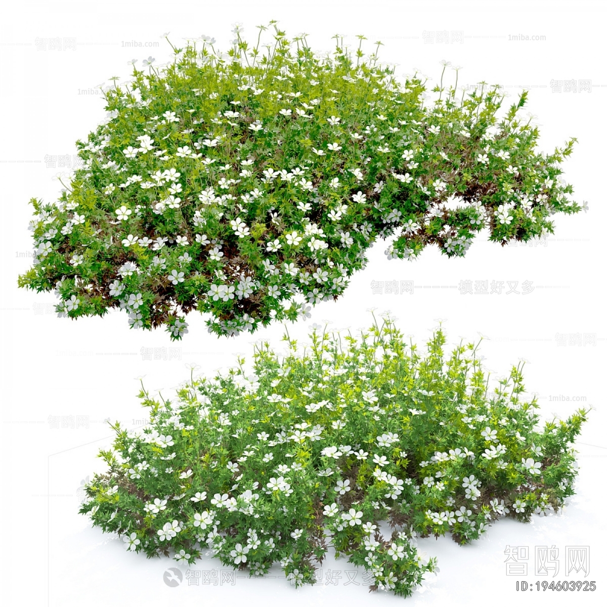 Modern Flowers And Grass