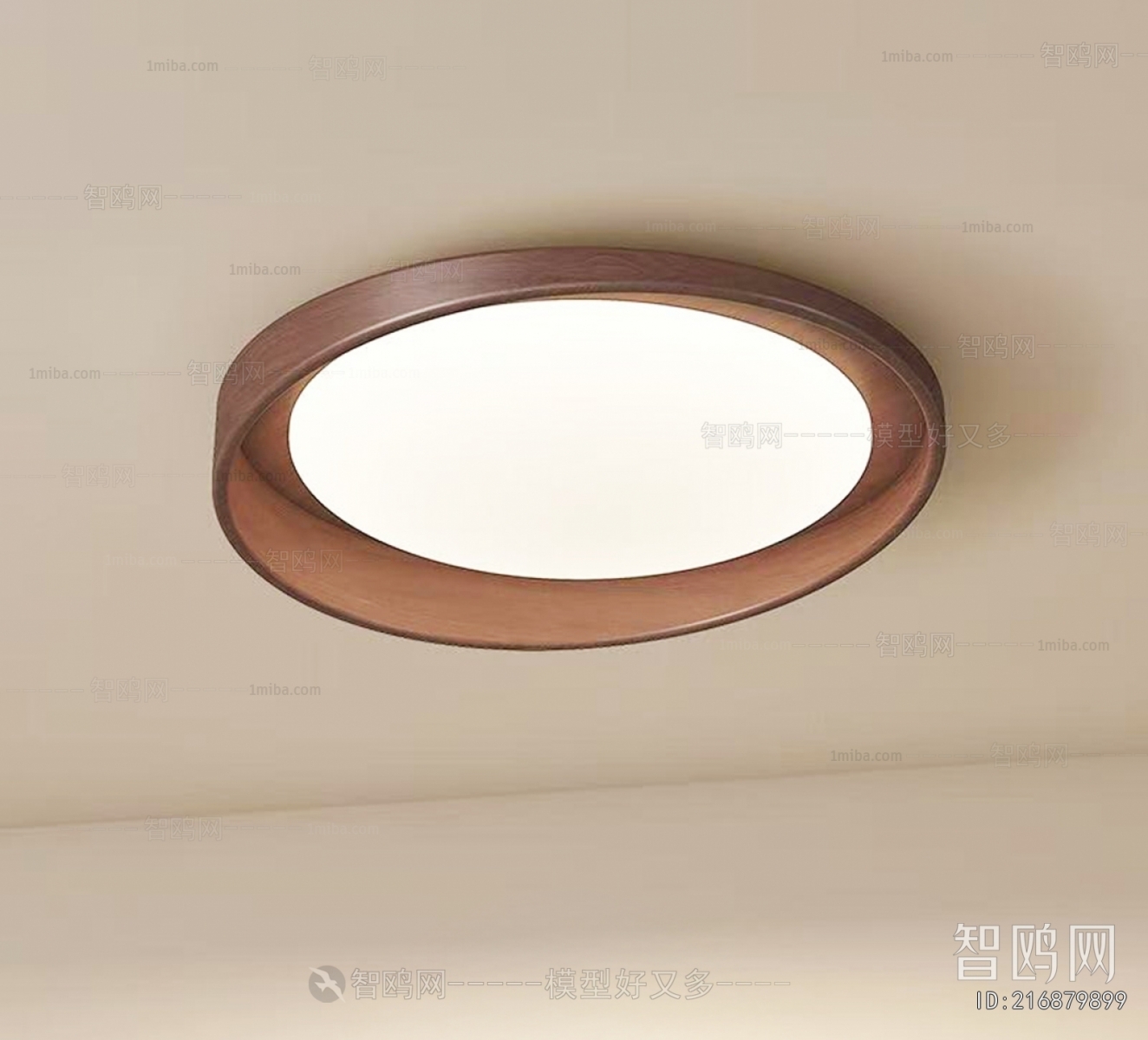 Modern Ceiling Ceiling Lamp
