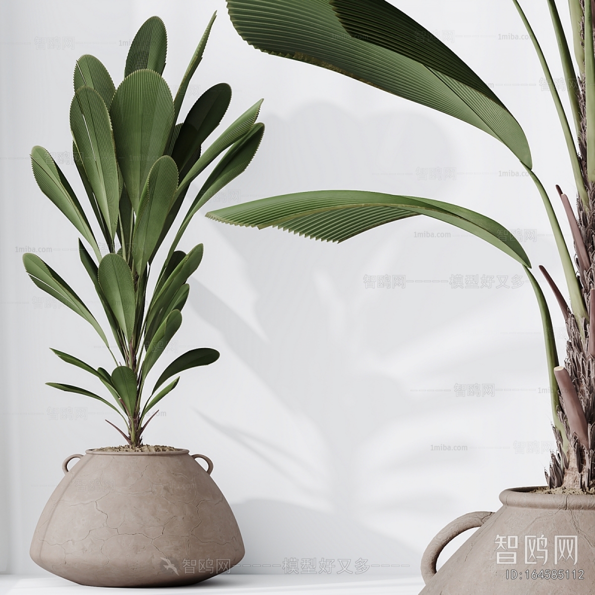 Modern Potted Green Plant