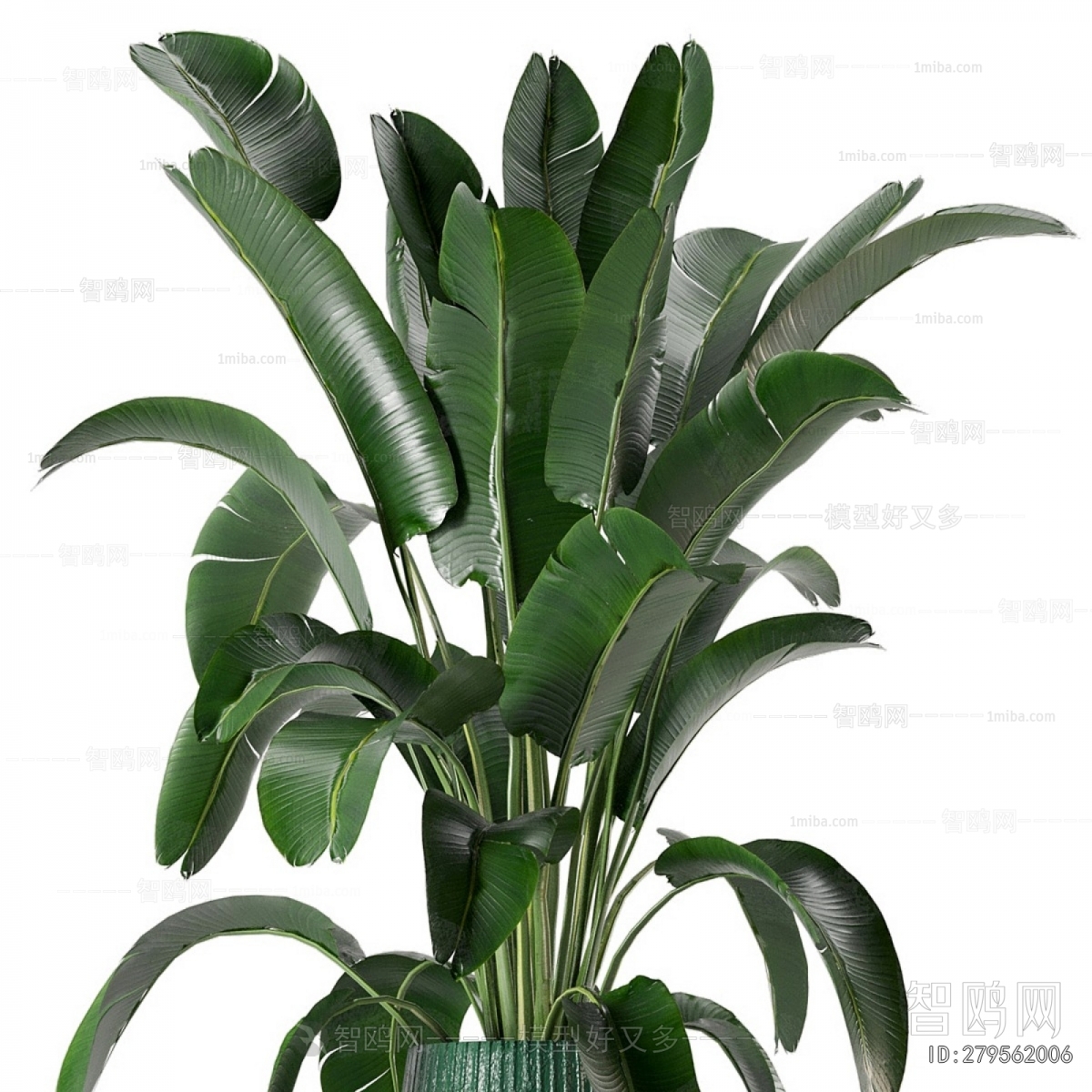 Modern Ground Green Plant Potted Plants
