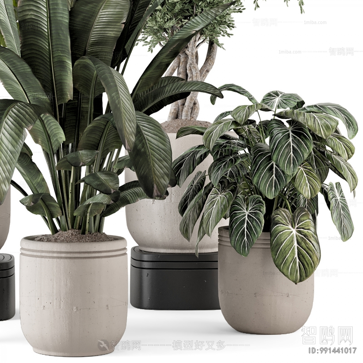 Modern Ground Green Plant Potted Plants