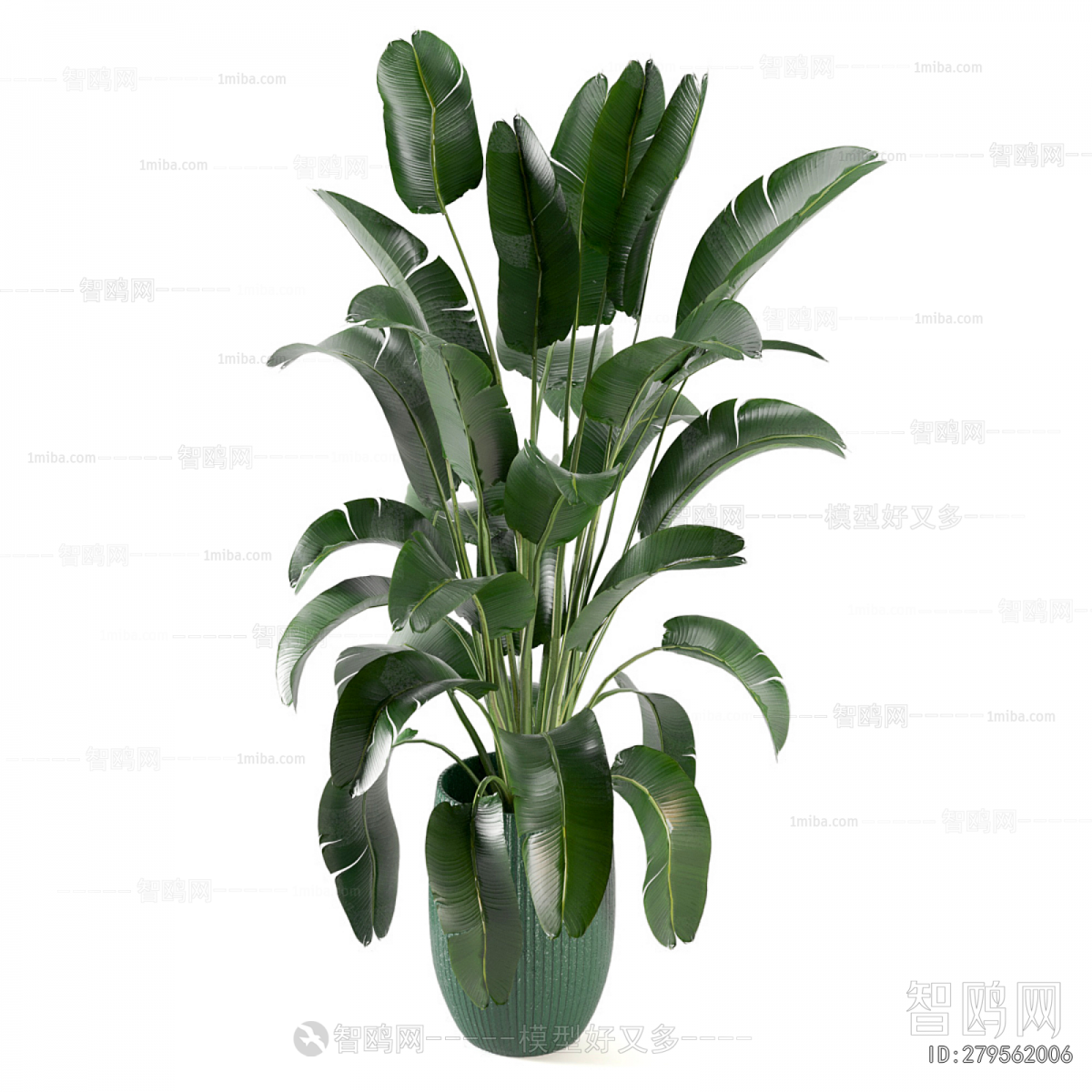 Modern Ground Green Plant Potted Plants