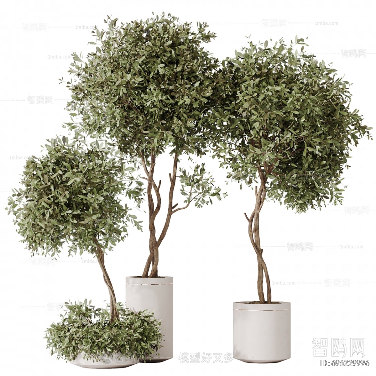 Modern Ground Green Plant Potted Plants