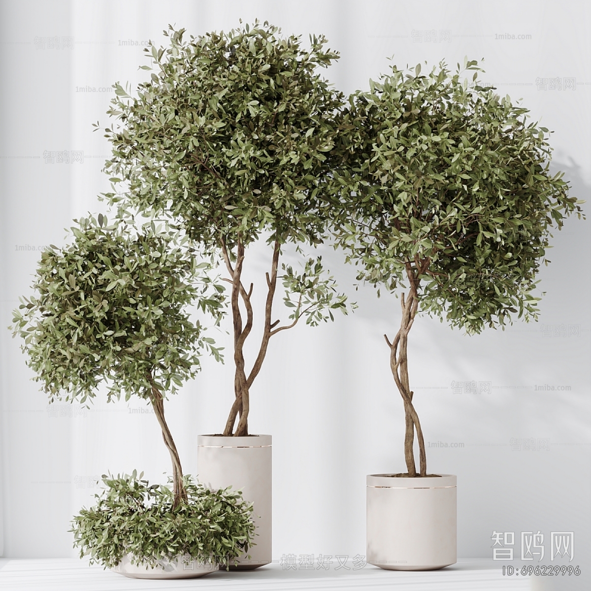 Modern Ground Green Plant Potted Plants