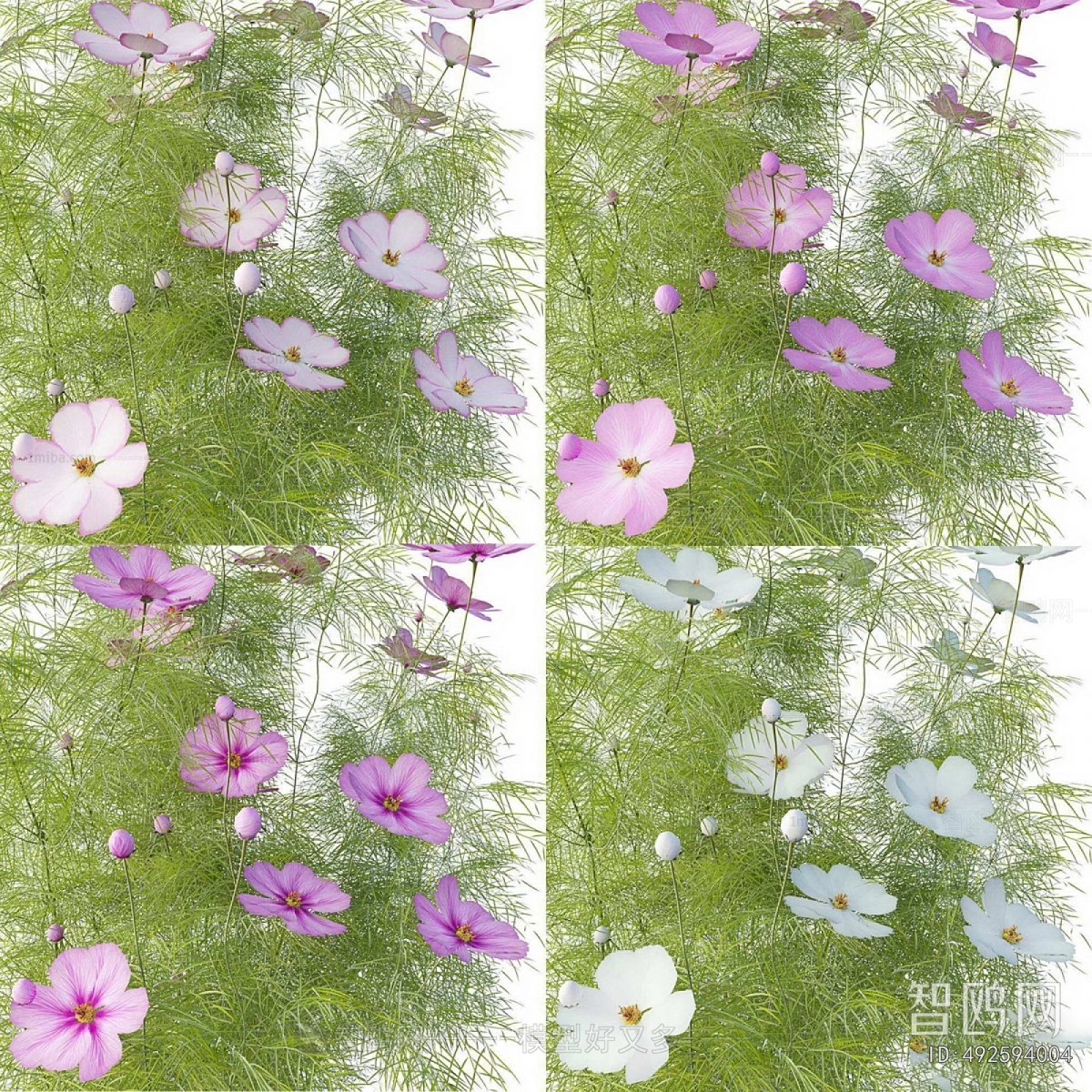 Modern Flowers And Grass